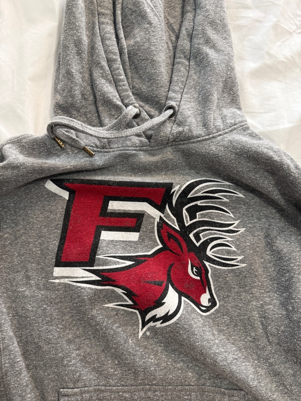 Fairfield hoodie